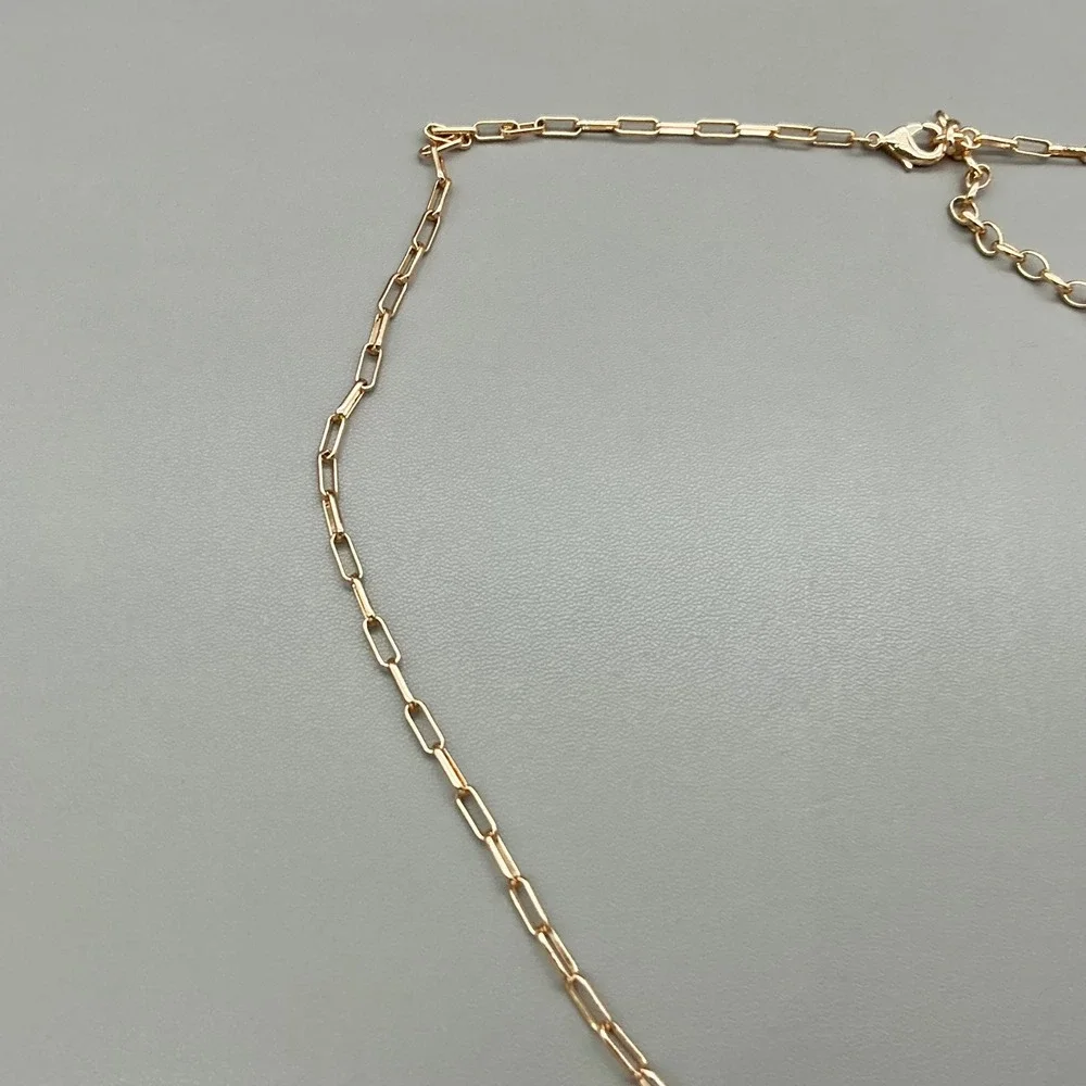 Bomb Party Necklace Gold Tone Paperclip Chain Pink Carabiner CZ Pendant 18-20